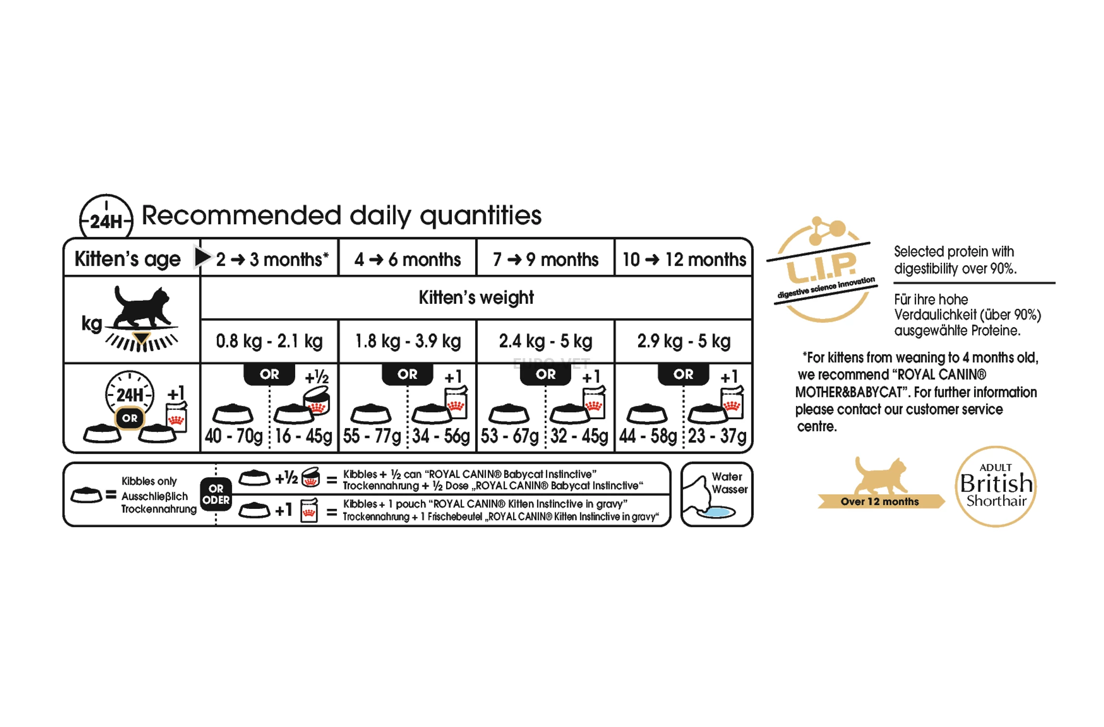 Royal Canin British Shorthair KITTEN 0 4 kg Feed EURO VET Webshop